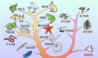 生物领域分析
