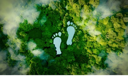 产品碳足迹评价/认证